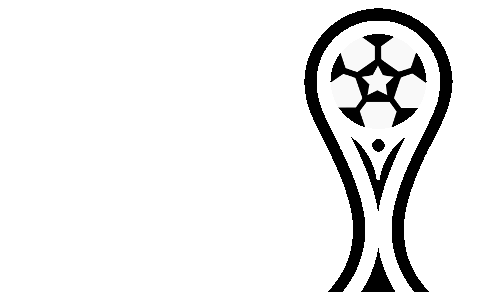 Copa Sudamericana Flag