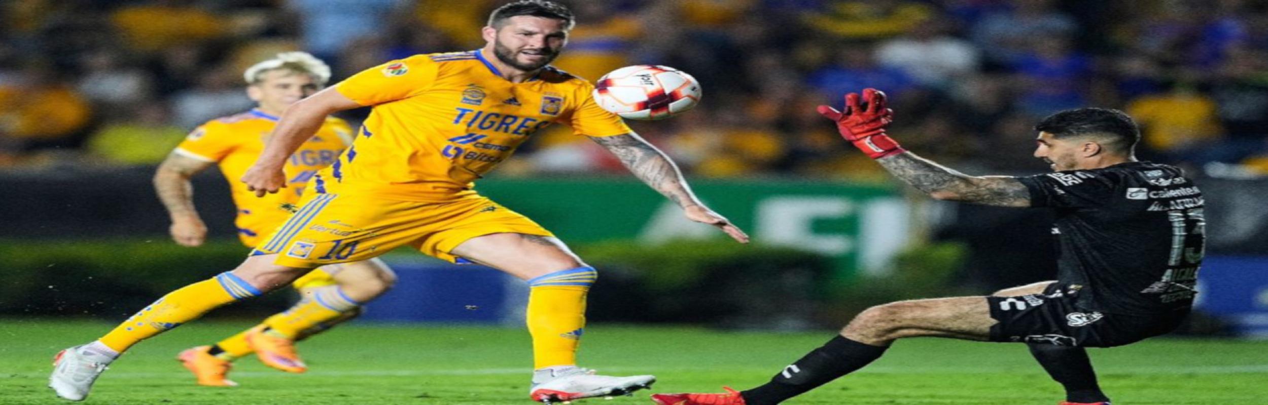 Τίγκρες, Tigres UANL