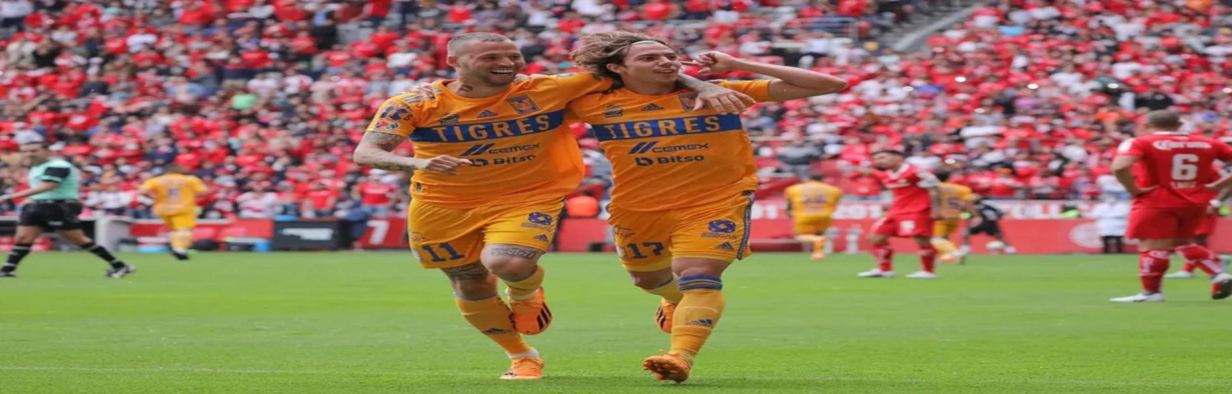 Τίγκρες, Tigres 