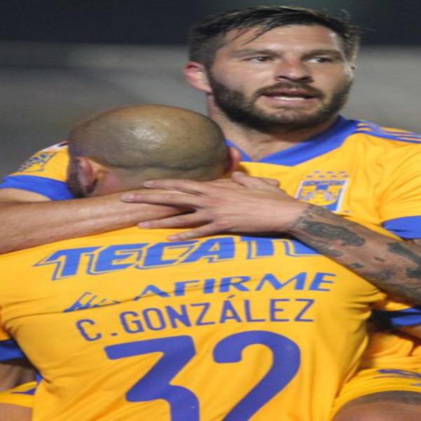 Τίγκρες, Tigres 