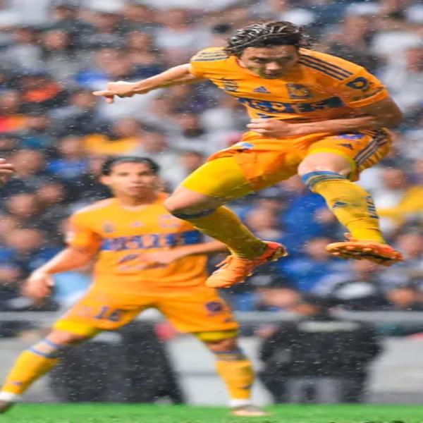 Τίγκρες, Tigres de la Universidad Autónoma de Nuevo León